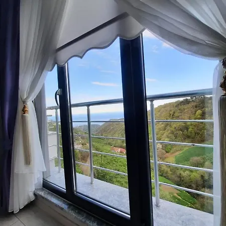 Kaplan The House 2 * Trabzon
